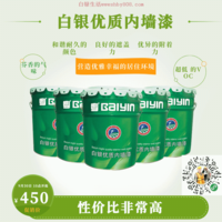 白银优质亚光内墙漆30
